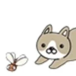 千葉工業　代表　千葉吉輝